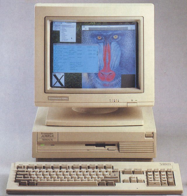First slide